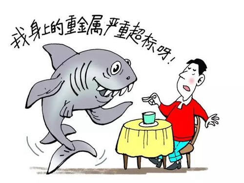 大桶矿泉水生产线 大桶矿泉水生产线